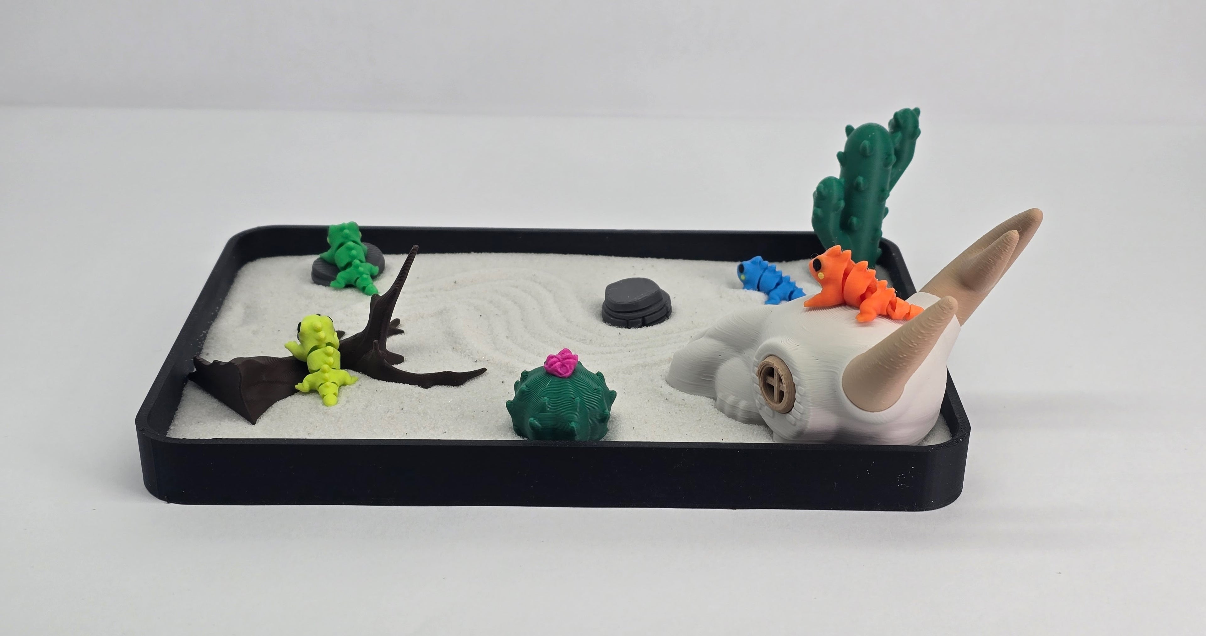 Desert Iguana Zen Garden