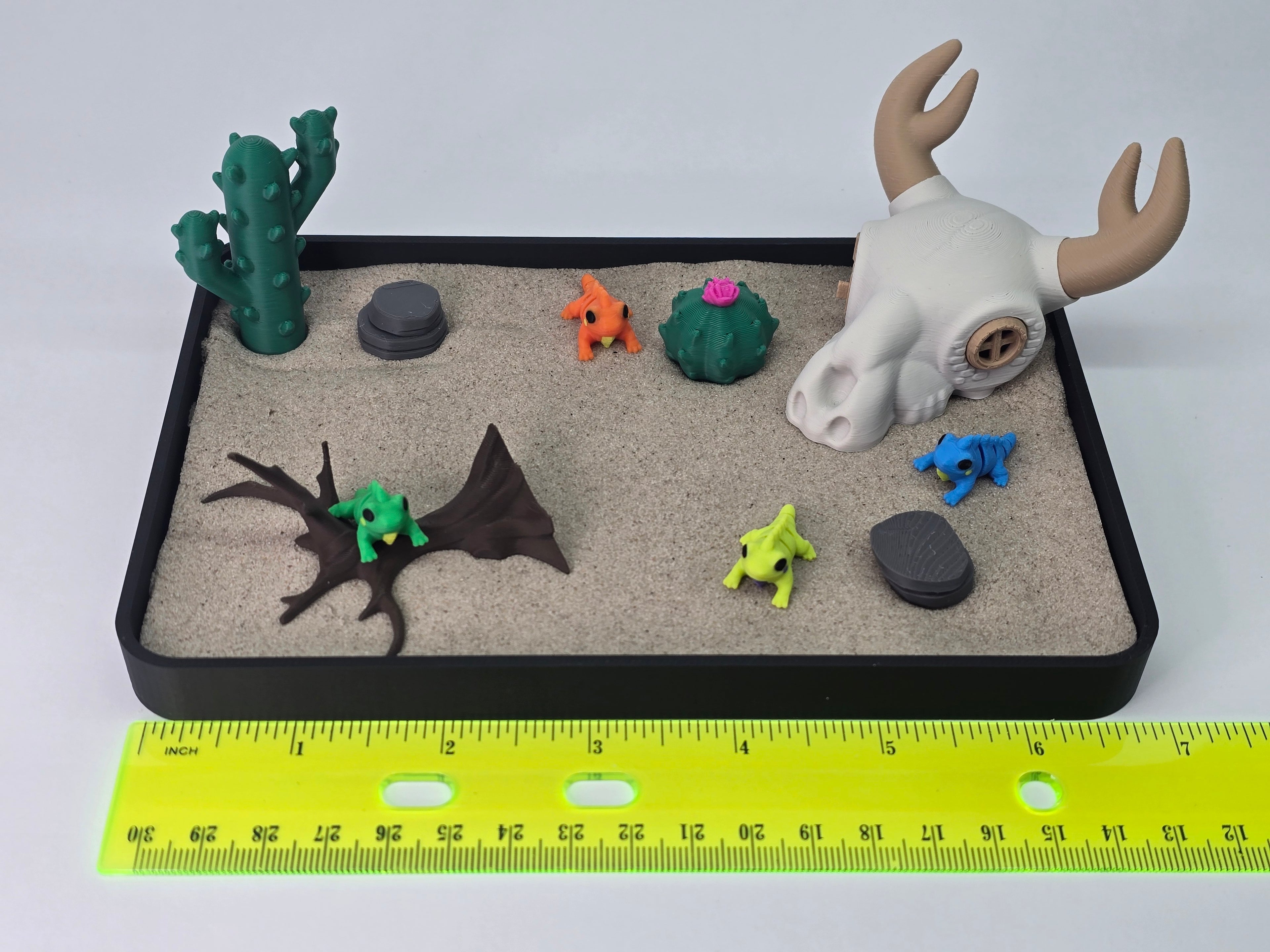 Desert Iguana Zen Garden