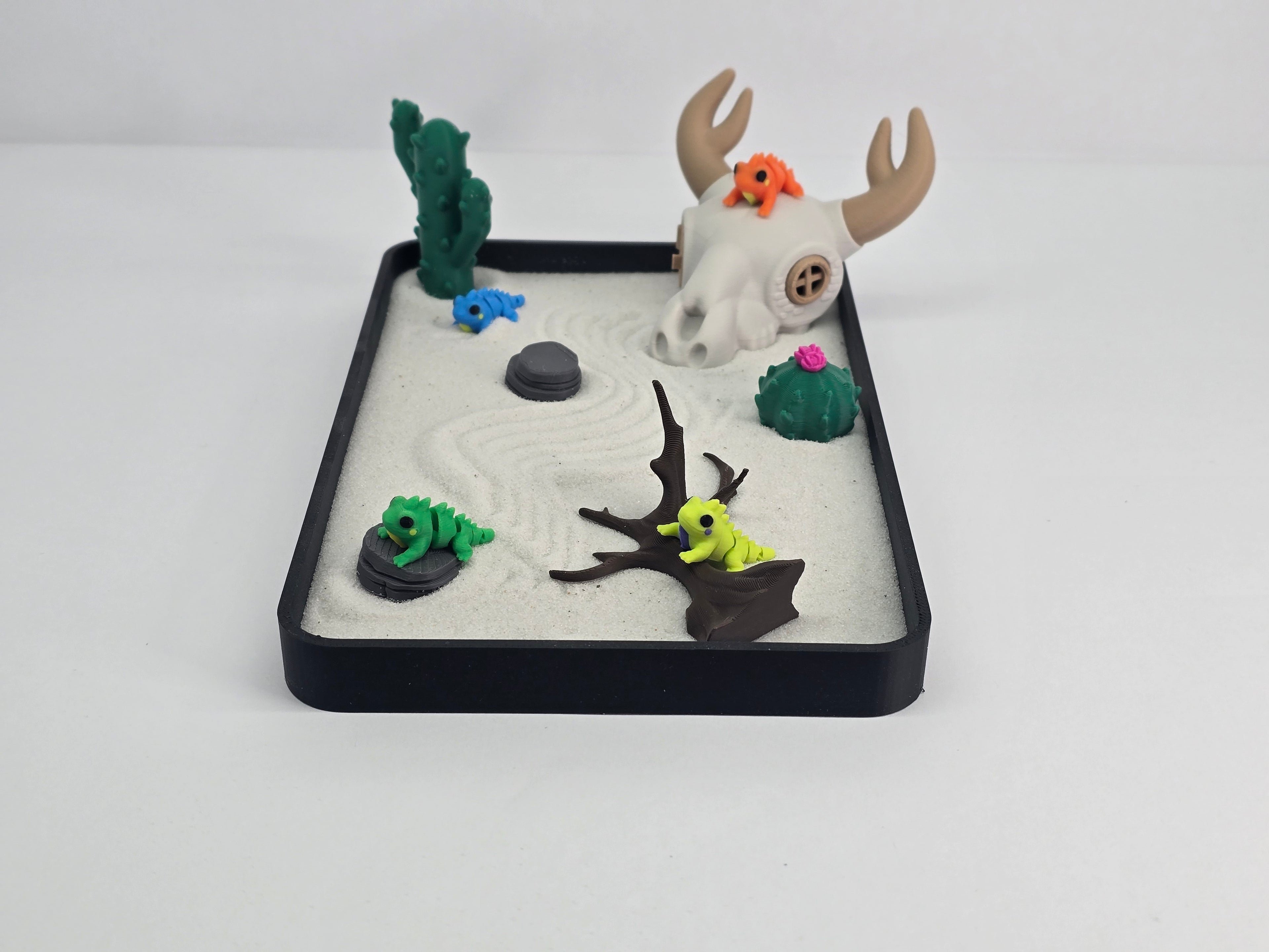 Desert Iguana Zen Garden