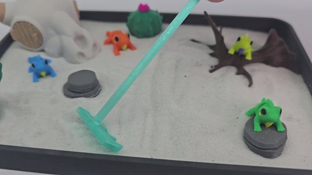 Desert Iguana Zen Garden