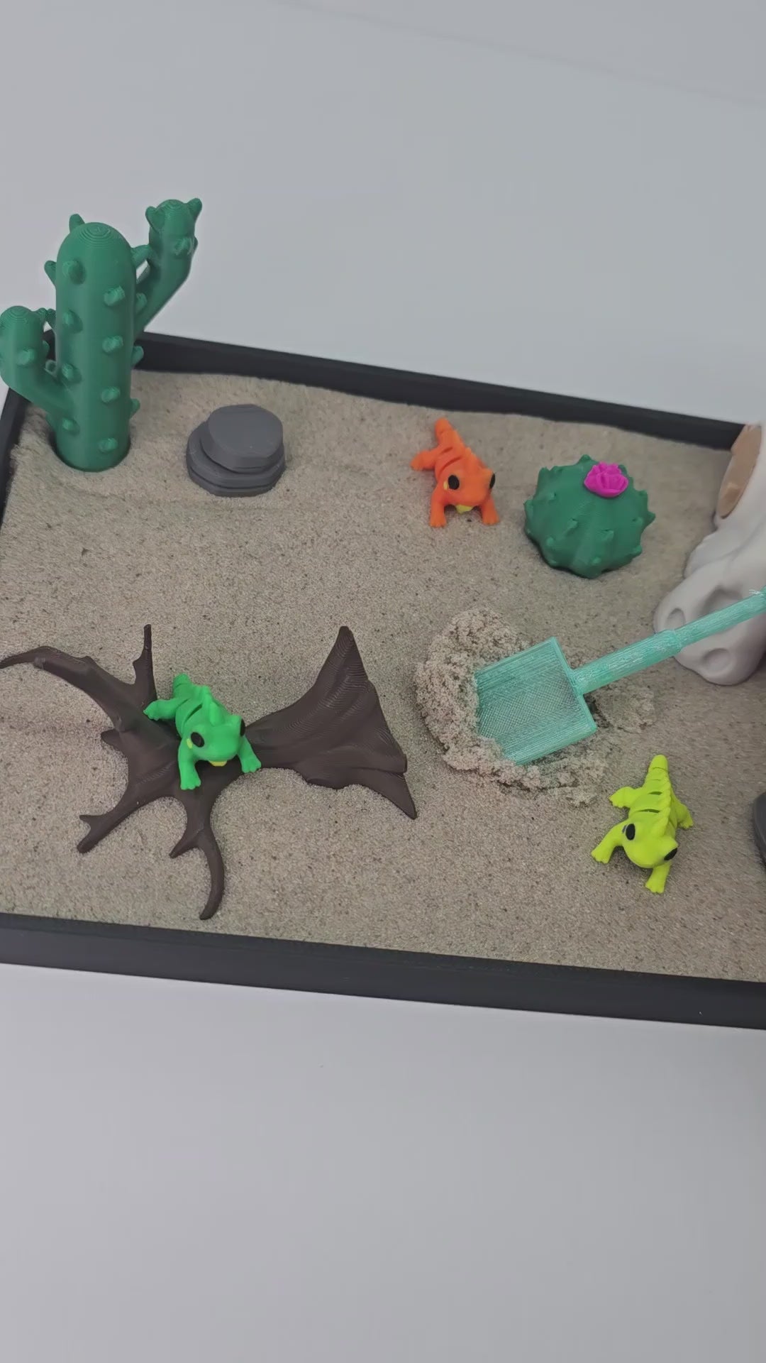 Desert Iguana Zen Garden